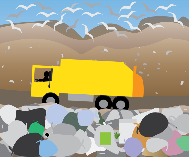 Ultimate Skip Hire Guide: The Crucial Dos and Don'ts
